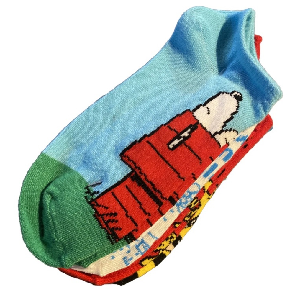 New PEANUTS Ladies 5 Pair No Show Socks SNOOPY, CHARLIE BROWN, LUCY WOODSTOCK